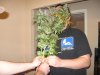Harvest 027.jpg