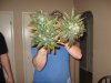 Harvest 029.jpg