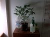 23 Hybrid Mugshot.jpg 23 Hybrid Mugshot.jpg