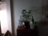 24 Indica Mugshot.jpg 24 Indica Mugshot.jpg