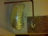 2010-11-11_22-44-51_305.jpg