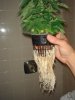 DSC01792.jpg