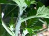 20101130141138.jpg