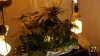 100_1614.jpg