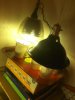 baby lights.jpg