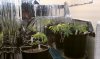 IMAG0079.jpg