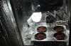 3-7-2010 008.jpg