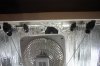 3-7-2010 007.jpg