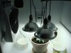 DSC01553.jpg