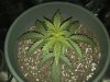 IMG00001-20101204-1622.jpg