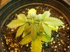 100_0573.jpg