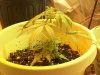 100_0569.jpg