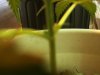 100_0570.jpg