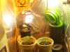 100_0578.jpg