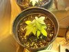 100_0571.jpg