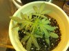 100_0576.jpg
