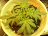 100_0575.jpg
