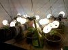 IMG_20101205_231154.jpg