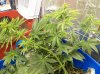100_0621.jpg