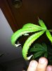 KIJIJI for corey 011.jpg