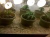 IMG_20101207_010636.jpg