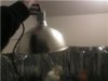 lamp1.jpg