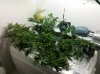 img_20101208_224550.jpg