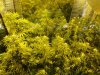DSC00075 17-13-49.jpg