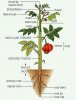 I10-22a-anatomy2.jpg