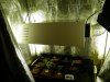DSCF0228.jpg