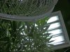 DSCF0013.jpg DSCF0013.jpg