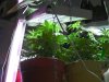 DSCF0010.jpg DSCF0010.jpg