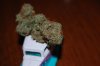 DSC_0161.jpg