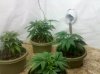 IMG_20101213_224754.jpg