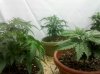 IMG_20101213_224805.jpg