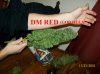 100_3476.JPG
