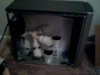 Picture 001.jpg
