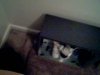 Picture 002.jpg