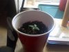 0505081632.jpg