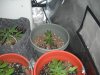 DSCN2156.jpg