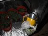 DSCN2162.jpg