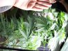 DSCF0007.jpg