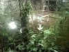 downsized_1216101659.jpg downsized_1216101659.jpg