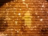 2010-12-19_13.38.35.jpg