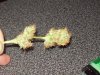 103_3832.jpg