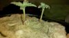 2010-12-21_15-11-14_515.jpg 2010-12-21_15-11-14_515.jpg