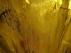 mould a (2).jpg