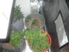 DSCN2259.jpg