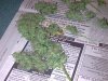 Harvest 1.jpg