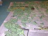 Harvest 2.jpg